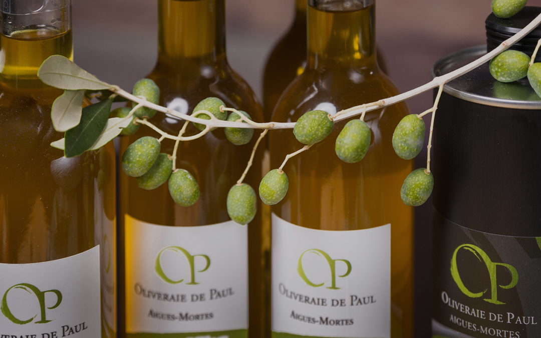 Huile d’olive – oliveraie de Paul